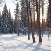 Фінська лижниця Анні Ліндроос здійснила камінг-аут: "Відтепер я вільна"
