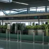 Митниця аеропорту BER вилучила понад 50 кг кату у пасажира з Ізраїлю