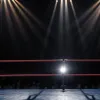 Мегазірка WWE анонсувала "гігантський" сюрприз: фанати в очікуванні