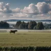 Сперма племінного бика за €30 тис. не зникала: курйозний інцидент на фермі та що розслідує поліція