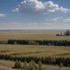 Фронтові новини: ЗСУ відбили атаку на Сумщині, росіяни наступають на Донеччині