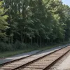 У німецькому Зольтау виявили небезпечні саморобні переходи через залізничні колії