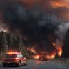 Автомобіль мисливця спричинив масштабну лісову пожежу в Німеччині