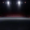 Fame Fighting 3: Перші учасники гучного шоу боїв знаменитостей в Ессені названі