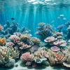 Акваріуми SEA LIFE: Чарівний світ підводних глибин та морських мешканців
