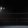 WWE: Фанати освистали переможців King & Queen of the Ring, а RAW готує ґрунт для SummerSlam