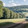 У Німеччині корова-втікачка спричинила переполох на дорозі: врятована завдяки корму