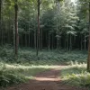 Подвійне вбивство українки з донькою в Німеччині: затримано 16-річного підлітка