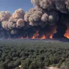 Люди тікають від вогню: руйнівні лісові пожежі охопили турецький регіон Бурса