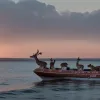 У порту Ростока поліція врятувала виснажену косулю з води