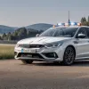 У Гайдельберзі поліція врятувала виснаженого лелеку з узбіччя траси B37