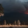 У Німеччині поблизу Дрездена пожежники борються з масштабною лісовою пожежею через спеку та посуху