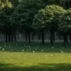 Літня "зима": На півдні Німеччини під час спеки випав сильний град