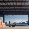 Митний собака Кейт виявила наркотики на €600 000 в аеропорту Кельна