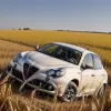 Незвичайна ДТП у Німеччині: Автомобіль перекинувся через тварину, що залетіла в салон