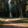 ШОК у Тоскані: Німецьку туристку знайшли мертвою зі слідами насильства