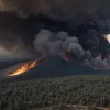 Жахливі пожежі в Туреччині: Загинуло 10 осіб, вітер ускладнює гасіння