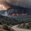 Німеччина: Масштабні лісові пожежі в Тюрінгії та Саксонії вийшли з-під контролю