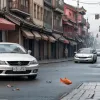 Вражаюча жорстокість у Китаї: Водій перевозив живу рибу на капоті авто, перехожі били її