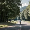 Водій накричав на 13-річного велосипедиста у Фрайбурзі: підліток отримав серйозні травми після падіння