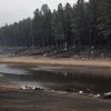 У Німеччині невідомі розпалили багаття за магазином: прибули поліція та пожежники