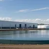 Найбільше в Європі підприємство з вирощування креветок у Німеччині оголосило про банкрутство
