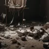 В Італії жорстоко вбили відомого пса-рятувальника Бруно: можлива помста злочинців