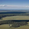 Важка ситуація на Донецькому фронті: Наступ РФ підтримується масованими атаками дронів