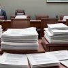 "Масковий скандал" у Німеччині: Авторку звіту звинувачують у брехні, справу Шпана заплутують