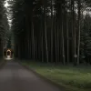 У Німеччині біля Вежі Глюкауф розслідують можливий напад на жінку: поліція шукає двох чоловіків із саксонським акцентом