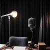 Екс-лідерка "Зелених" Рікарда Ланг у подкасті Ронцгаймера: про виклики коаліції та вплив ультраправих у Німеччині