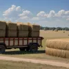 Жахлива знахідка в Техасі: мігрантів ховали у тюках із сіном під пекельною спекою