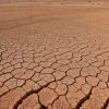 Без води для розкоші: Мер Майорки перекриває водопостачання елітному готелю через посуху