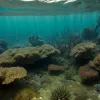 Балтійське море на межі екологічної катастрофи: водоростевий слиз душить морське життя