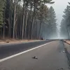 Аномальна спека в Німеччині: руйнуються автобани, вирують лісові пожежі, є постраждалі