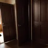 Чому коти постійно просяться то всередину, то назовні? Розгадуємо таємниці котячої поведінки