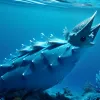 Сині дракони в Середземному морі: небезпечні красені загрожують туристам на іспанських пляжах