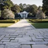Дональд Трамп "спіймав на гарячому": гнів президента через пошкодження у Трояндовому саду Білого дому