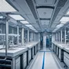 Повернення додо: Вчені зробили прорив у відтворенні зниклого птаха після 300 років