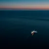 Над Балтійським морем виявили російський літак-розвідник: НАТО підняла винищувачі