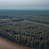 Повені в Італії та Франції: у Мілані шукають зниклу німецьку туристку, пожежі в Анталії контролюються