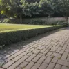 Бур'яни на тротуарі: кому доведеться платити штрафи та хто має прибирати?