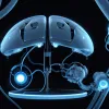 Neuralink Ілона Маска залучив $650 млн та шукає добровольців для імплантації мозкового чипа