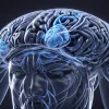 Наукові докази: Mind-Muscle Connection для м'язового росту та ефективних тренувань