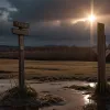 "Der Promihof" 2025: Спойлери перших епізодів – хто втратив гроші та хто в команді?