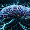 Леканемаб: Нова надія у лікуванні хвороби Альцгеймера