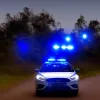 Водій з проблисковими маячками затриманий у Stedesand: нетверезий за кермом